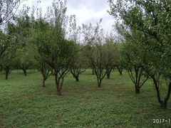 -蜀冈西峰生态公园