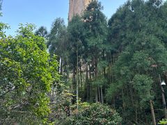 -雁荡山风景名胜区