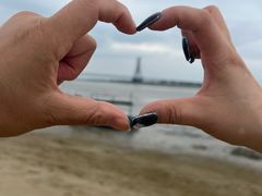-北海金海湾红树林生态旅游区