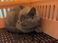 -宠颐生汉谟拉比宠物医院