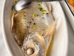 -柳莺湖上·湖景餐厅·江南菜(西湖店)