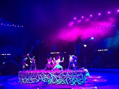 -珠海横琴长隆《卡卡虎奇遇记》