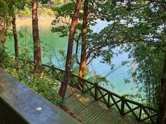 -广州市流溪河国家森林公园