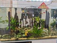 -中田·健身+普拉提(北京通州运河店)