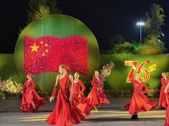 -荷兰花海