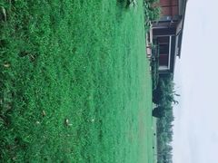 -夏河溪乡野公园
