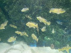 -泉城欧乐堡海洋极地世界