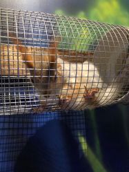 -未来动物城动物主题公园(大悦城店)