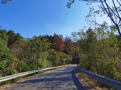 -青龙山国家森林公园
