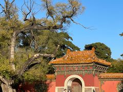 -北陵公园