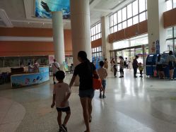 -厦门市儿童医院