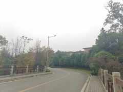 -铁山坪森林公园