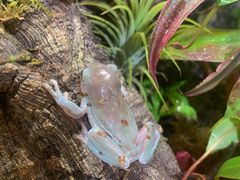 -Rabbit Cafe私房西餐甜点咖啡(栖霞路店)