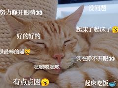-藏猫猫咖啡主题馆(中央大道店)