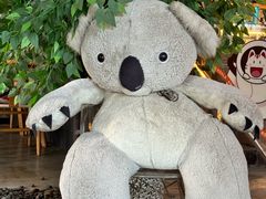 -了不起的考拉咖啡店(高新店)