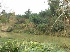 -白鹭湾湿地公园