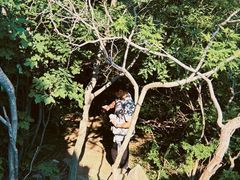 -大泽山风景名胜区