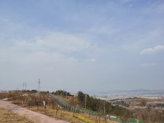 -绵阳盛世樱花悠乐谷