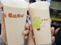 -猫的魔法密林(衣裳街店)