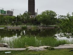 -西海子公园