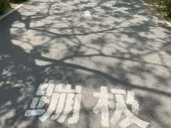 -星海蹦极娱乐