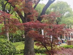 -上海虹桥迎宾馆