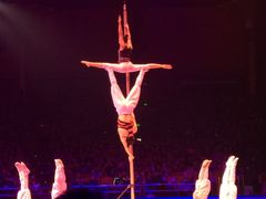 -珠海横琴长隆《卡卡虎奇遇记》