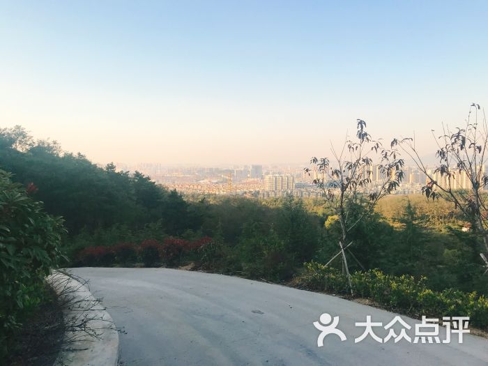 浮山森林公园图片 第15张