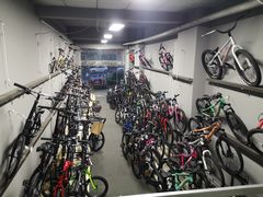 -道路口单车爱瓦士dahon大行