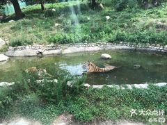 -西安秦岭野生动物园