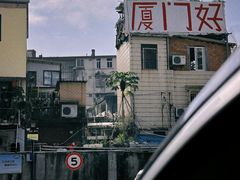 -溪岸路花鸟市场