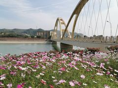 -黄河小浪底水利枢纽风景区