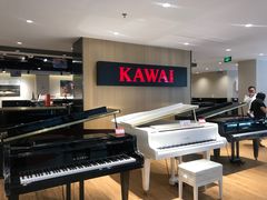 -柏斯音乐艺术中心·钢琴·吉他(上音店)