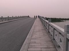 -南湖湿地公园