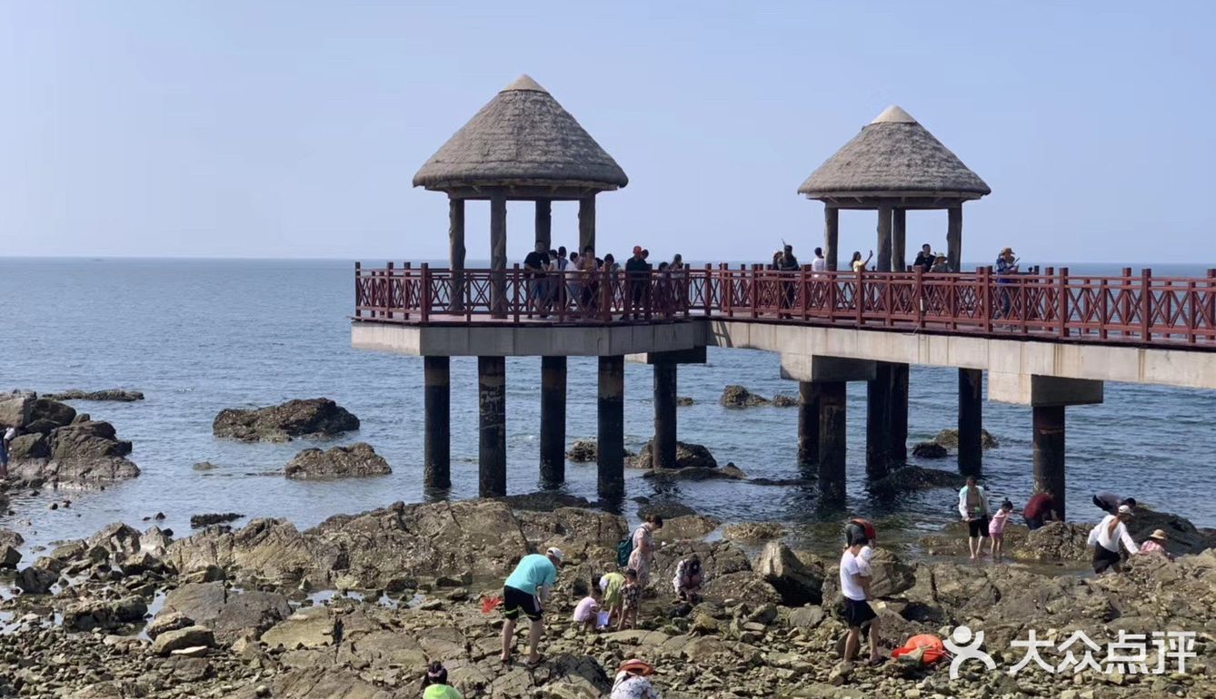 打卡✅抖音网红养马岛🌊🌊
