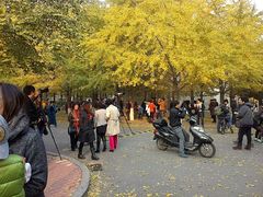 android_upload_pic-辽宁大学(崇山校区)