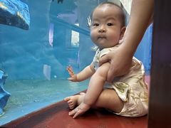 -太平洋海底世界