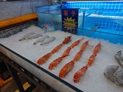 -清真军邺·金富苑肥牛(石坡街旗舰店)
