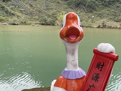 -靖西鹅泉风景区