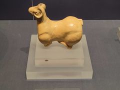 -温州博物馆