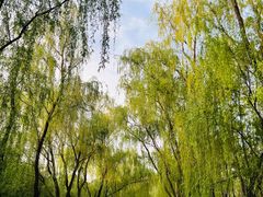 -漳泽水库水上公园