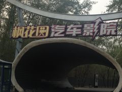 -枫花园汽车电影院(朝阳公园店)