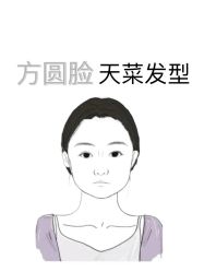 -Hair Code芭曲发型
