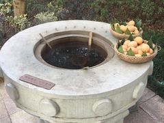 -苏州湾王焰温泉度假酒店