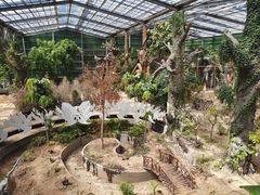 -呀路古热带植物园