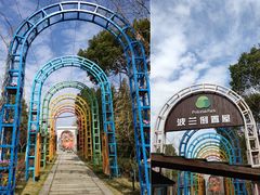 -金山农民画村-枫泾波兰倒置屋