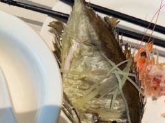 -青蓬蒸汽海鲜·深圳老字号·团建聚会(壹方城店)