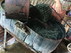 -大象粑粑造纸公园