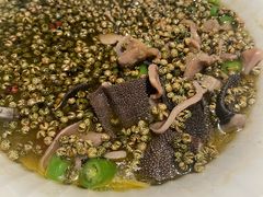 -许家菜(DT51店)