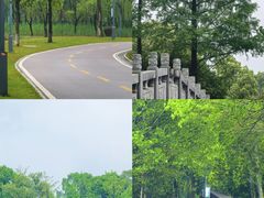 -洋湖国家湿地公园
